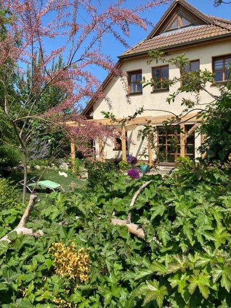 Ferienwohnung Stockrose Middelhagen Dış mekan fotoğraf